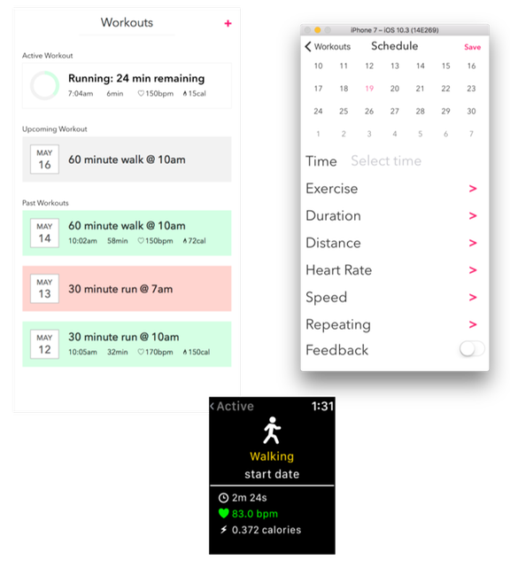 Apple Watch HealthKit Developer Tutorial How to Build a Workout App